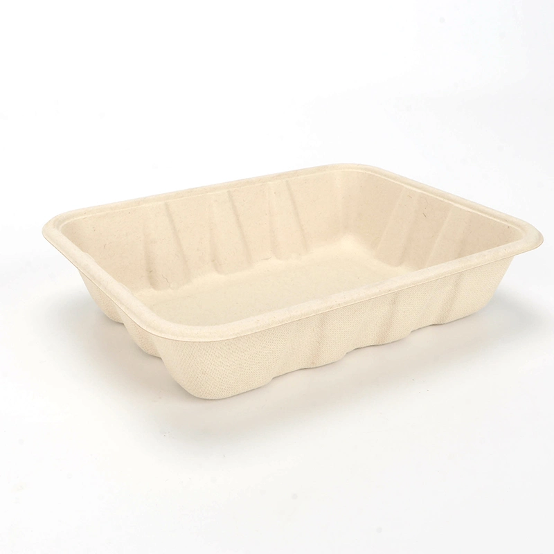 Scatola di pranzo eliminabile rispettosa dell'ambiente biodegradabile per i frutti Ntqw95025 Ut175 dell'insalata