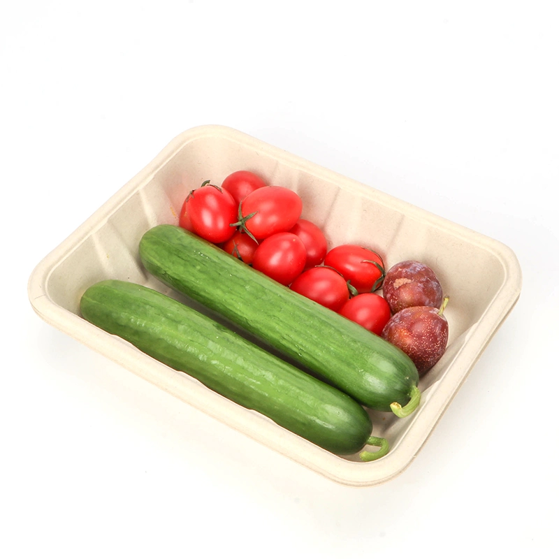 Scatola di pranzo eliminabile rispettosa dell'ambiente biodegradabile per i frutti Ntqw95025 Ut175 dell'insalata