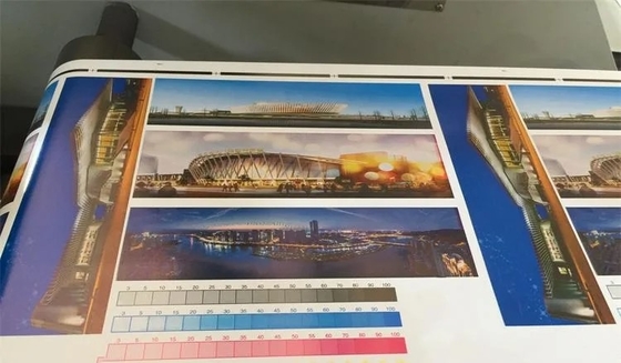4 larghezza di stampa massima di Flexo Printer#450mm dell'etichetta di accuratezza della stampatrice dell'etichetta di Flexo del rotolo di colore 320mm 80m/Min#±0.1mm