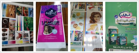 Sei stampatrici ad alta velocità di Flexo di colori