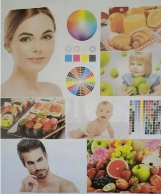 Macchina da stampa flessografica a 2 colori per film plastico, carta, alluminio, tessuto non tessuto e rotoli di carta