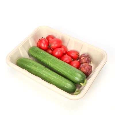 Sacco di carta medico biodegradabile ad alta velocità che fa macchina per le scatole di pranzo eliminabili rispettose dell'ambiente