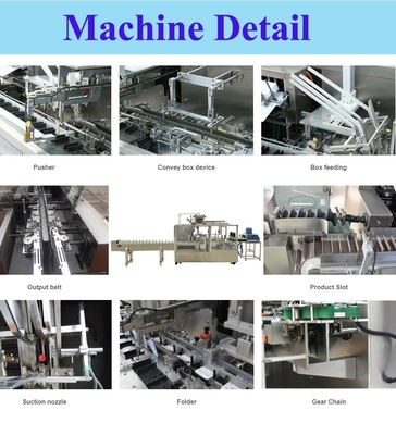 Macchina imballatrice del contenitore completamente automatico di cartone