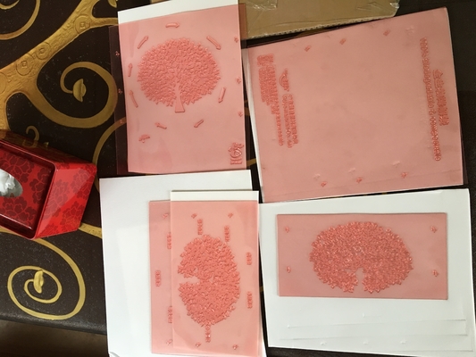 Flexo di alta risoluzione che stampa le piastrine di Shimei Digital di rappresentazione del bordo della resina