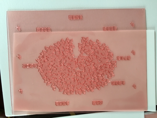 Flexo di alta risoluzione che stampa le piastrine di Shimei Digital di rappresentazione del bordo della resina